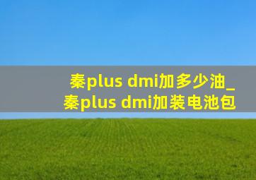 秦plus dmi加多少油_秦plus dmi加装电池包